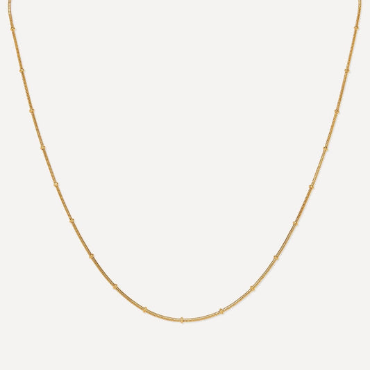 Oyster Waterproof Gold Chain Necklace